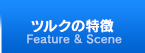 ツルクの特徴